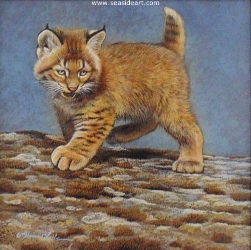 Exploration (Bobcat Kitten) by Rebecca Latham - Seaside Art Gallery