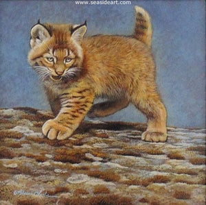 Exploration (Bobcat Kitten) by Rebecca Latham - Seaside Art Gallery