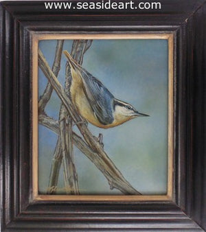 Explorations (Nuthatch) by Rebecca Latham - Seaside Art Gallery