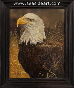 Field Encounter (American Bald Eagle)