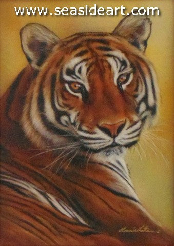 Fixated (Tiger)
