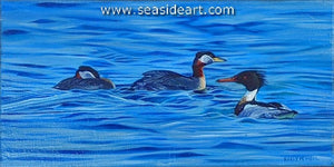 McNeil-Flock of Ducks 2 (Red-necked Grebes & Merganser)