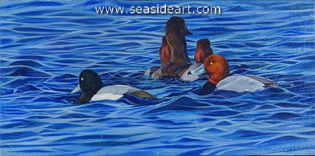 McNeil-Flock of Ducks 1 (Lesser Scoups & Redheads)