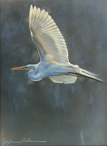Fly Over (Egret)