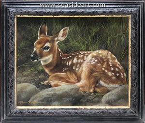 Forest Shade (Whitetail Fawn)