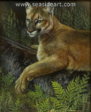 Forest Stillness (Mountain Lion)