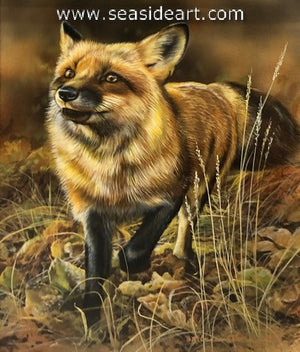 Forest Stroll (Red Fox)