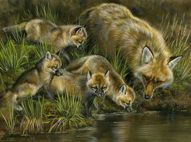 Water Play (Fox Family)