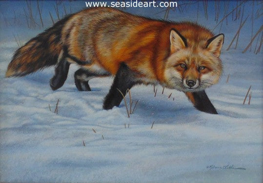 Winter Walk (Red Fox)