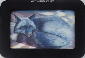 Foxy Shades of Gray by Pamela Brown Broockman - Seaside Art Gallery