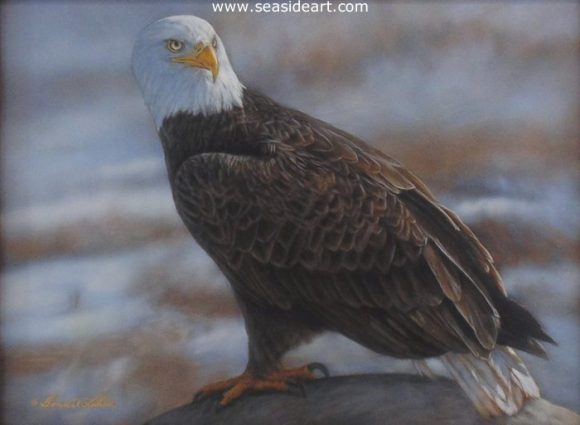 Freedom’s Solace-Bald Eagle by Bonnie Latham - Seaside Art Gallery