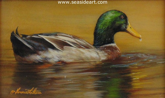 Golden (Mallard Duck)