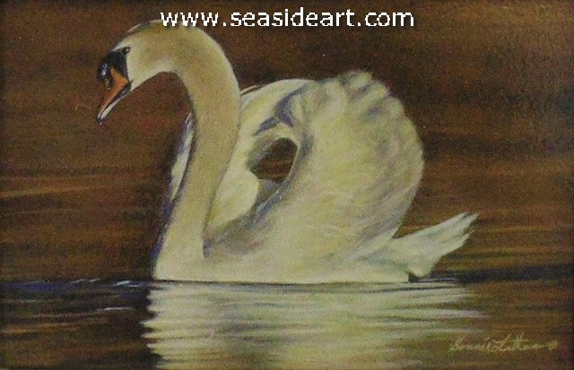 Golden (Mute Swan)