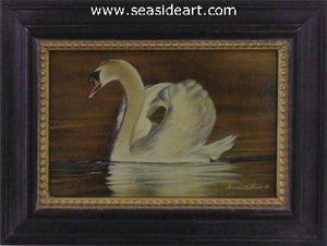 Golden (Mute Swan)
