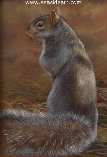 Grassy Spot-Gray Squirrel I by Rebecca Latham - Seaside Art Gallery