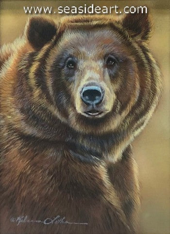 Grizzly Portrait
