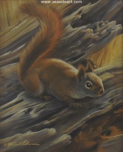 Hesitation-Red Squirrel by Rebecca Latham - Seaside Art Gallery