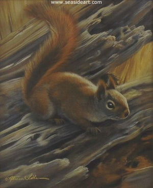 Hesitation-Red Squirrel by Rebecca Latham - Seaside Art Gallery