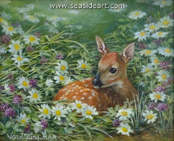 Hidden in the Daisies