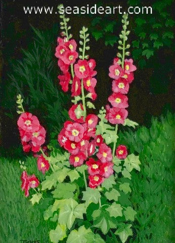 Hollyhocks