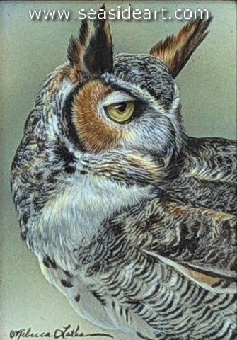 Watchful Gaze (Great Horned Owl)
