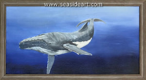 Cruise-Humpback Whale