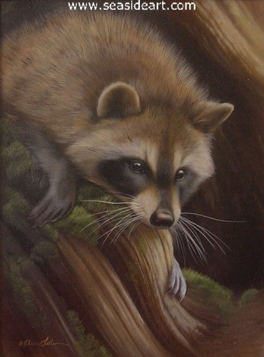 Investigating-Raccoon by Rebecca Latham - Seaside Art Gallery