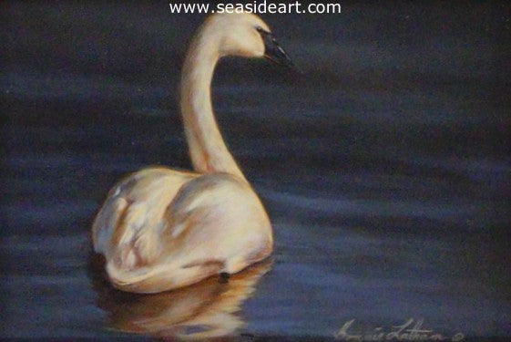 Ivory and Blue-Trumpeter Swan by Bonnie Latham - Seaside Art Gallery