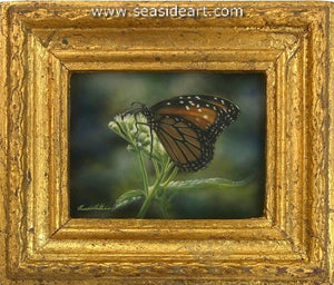 Ivory (Monarch Butterfly)