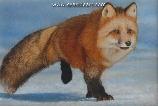 Snow Shadows I-Red Fox by Karen Latham - Seaside Art Gallery