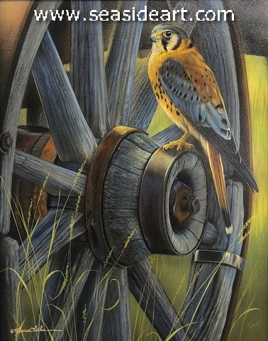 The Spokesman (Kestrel)