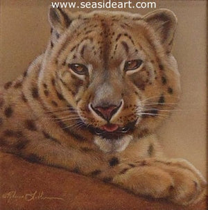 Leopard’s Pause – Snow Leopard by Rebecca Latham - Seaside Art Gallery
