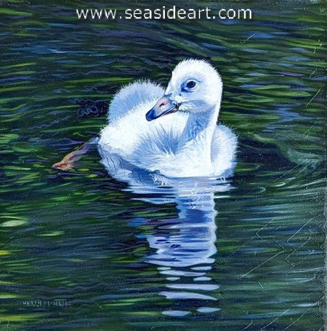 Little Ballerina (Trumpeter Cygnet)