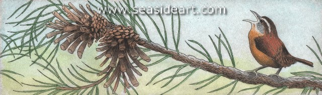 Loudmouthed Carolina Wren