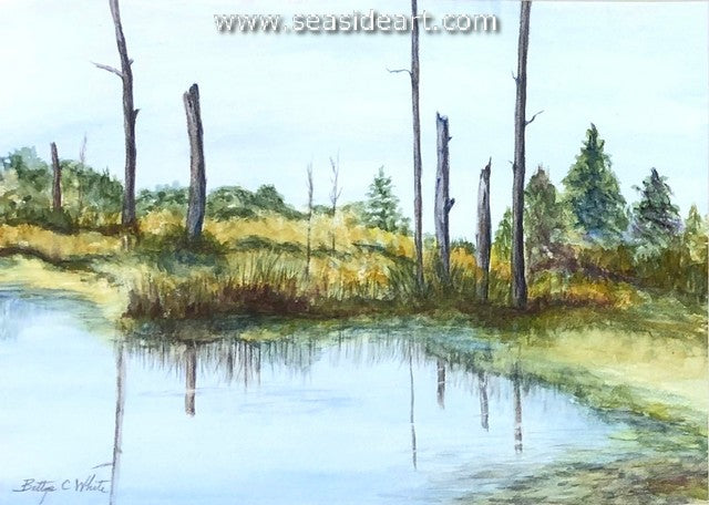 Marsh at Manteo