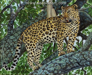 Menace in the Sausage Tree (Leopard)