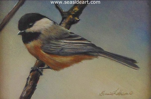 Morning Guest (Black Capped Chickadee)