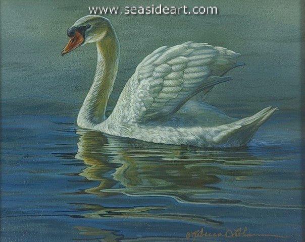 Muted Afternoon (Mute Swan)