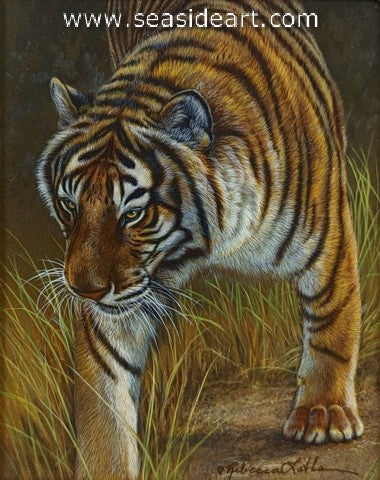 On the Prowl (Tiger)