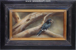 Out On A Limb-Hornbill by Rebecca Latham - Seaside Art Gallery