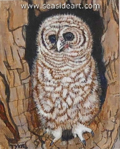Owlet