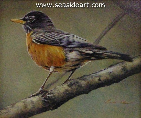 Passing Through (Robin)