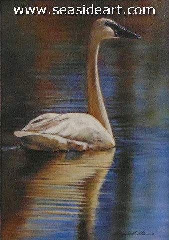 Peaceful Colors (Trumpeter Swan)