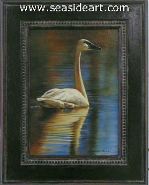 Peaceful Colors (Trumpeter Swan)