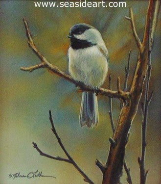 Peaceful Morning (Chickadee)