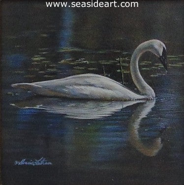 Peaceful Reflection (Trumpeter Swan)