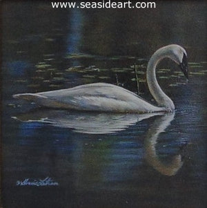Peaceful Reflection (Trumpeter Swan)