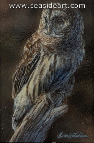 Perched (Barred Owl)