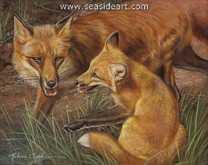 Playful (Red Foxes)