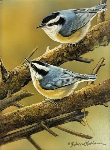 Poised (Red Breasted Nuthatch)